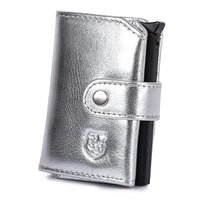 Kartenetui Silber Edition
