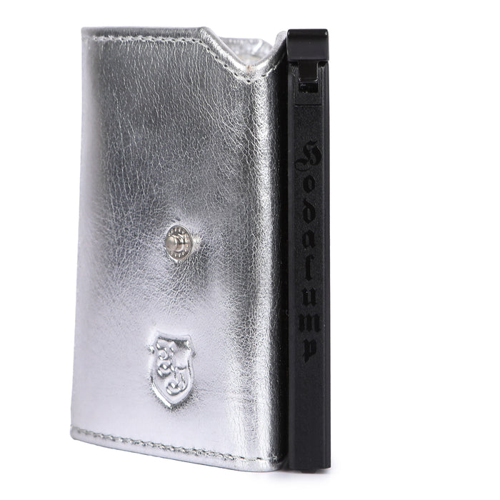 Kartenetui Silber Edition